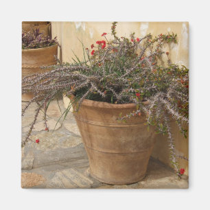 Mediterranean Pots Magnet