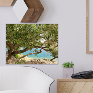 Mediterranean Sea Olive Tree Poster
