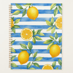 Mediterranean Summer Citrus Kitchen Decor Planner