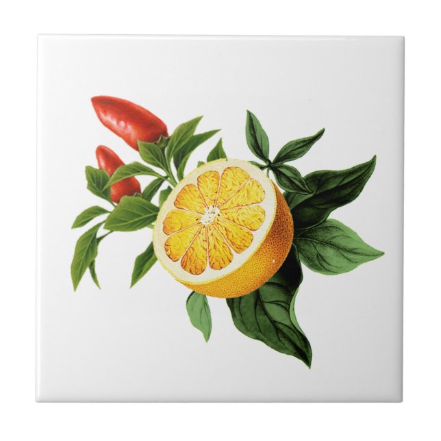 Mediterranean tiles, majolica,Sicilian style     Ceramic Tile (Front)