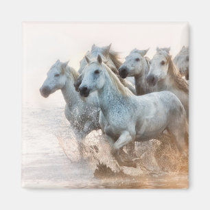 Mediterranean Water at Sunrise Magnet