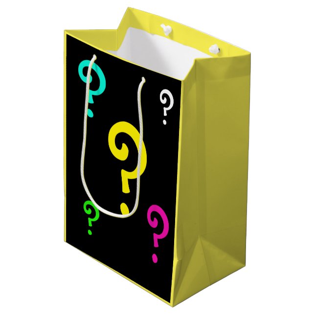 Medium Gift Bag Question Mark Reason (Front Angled)