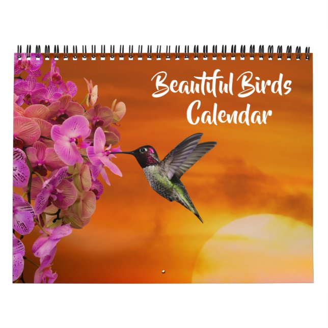 Medium Size Beautiful Birds Calendar (Cover)