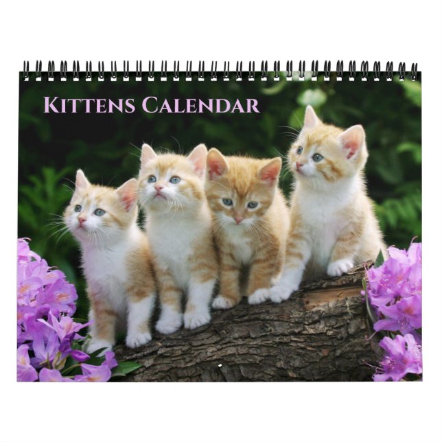 Medium Size Kittens Calendar (Cover)
