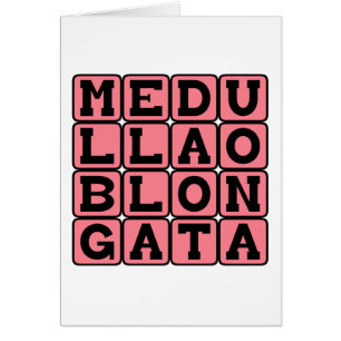 Medulla Oblongata, Lower Brain Stem