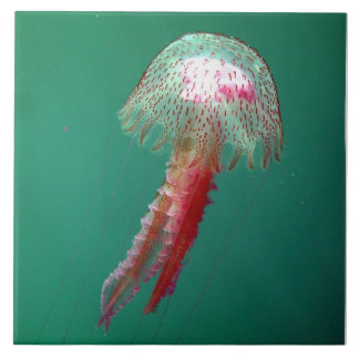 Medusa Jellyfish Tile
