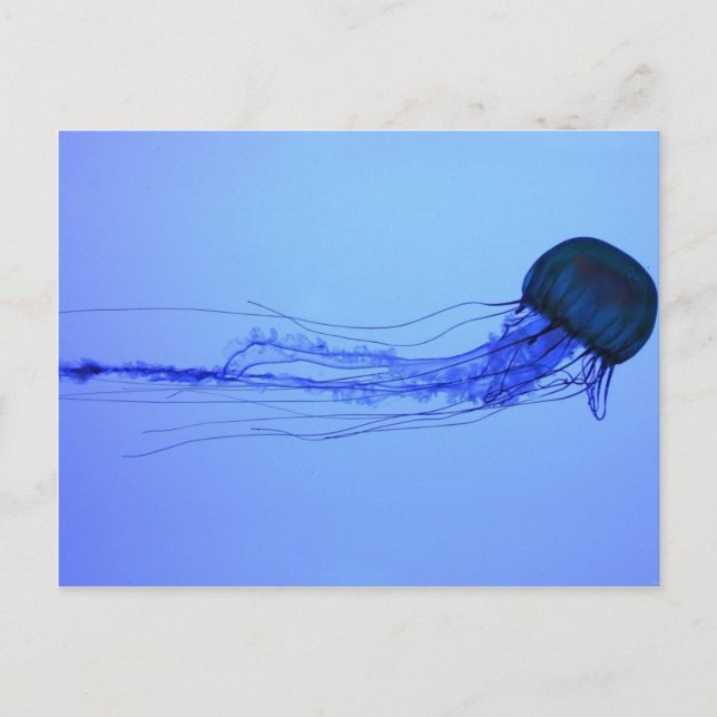 Medusa Postcard (Front)