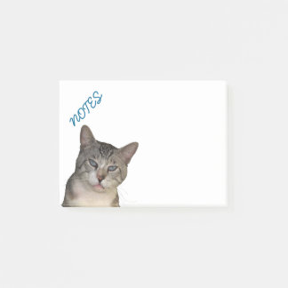 Meece Kitty With Blue Eyes Post-it Notes