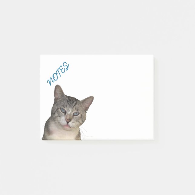 Meece Kitty With Blue Eyes Post-it Notes (Front)
