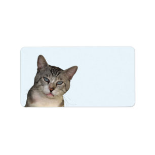 Meece The Cat Address Labels