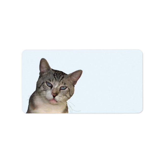 Meece The Cat Address Labels (Front)