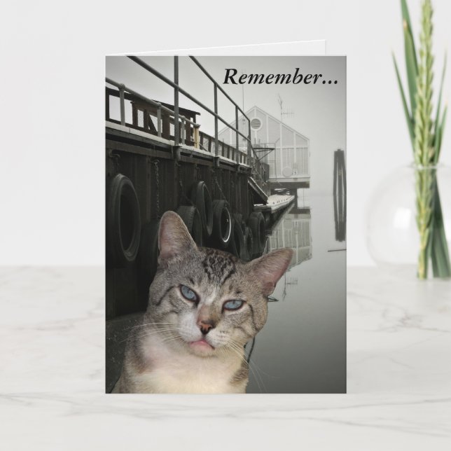 Meece The Cat Encouragement Greeting Card (Front)