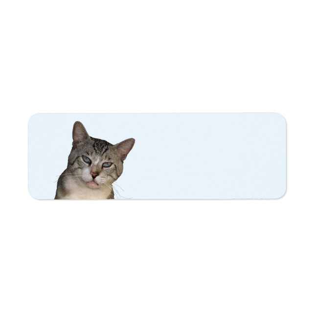 Meece The Cat Return Address Labels (Front)