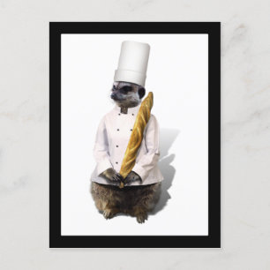 Meercat Chef With Baguette Postcard