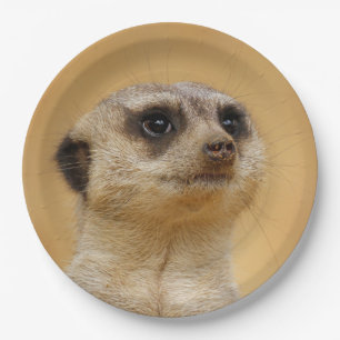 Meerkat2011101 Paper Plate