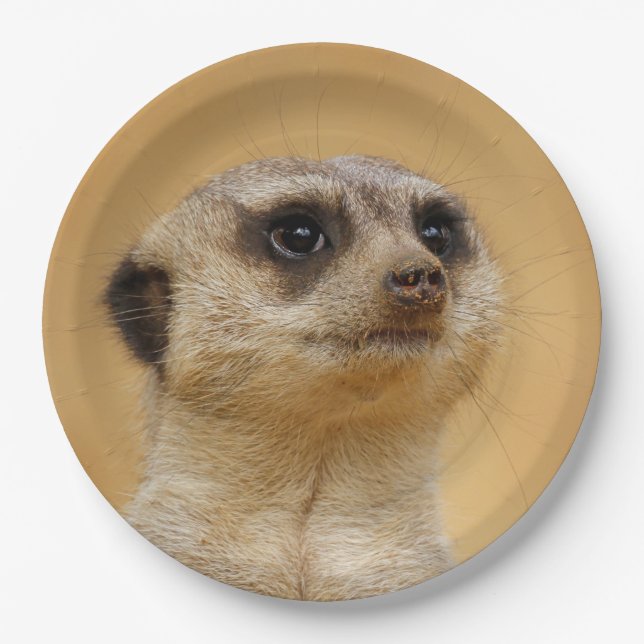 Meerkat2011101 Paper Plate (Front)