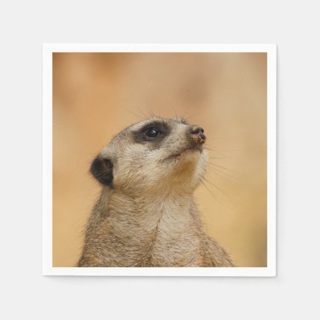 Meerkat20151002 Napkin (Front)