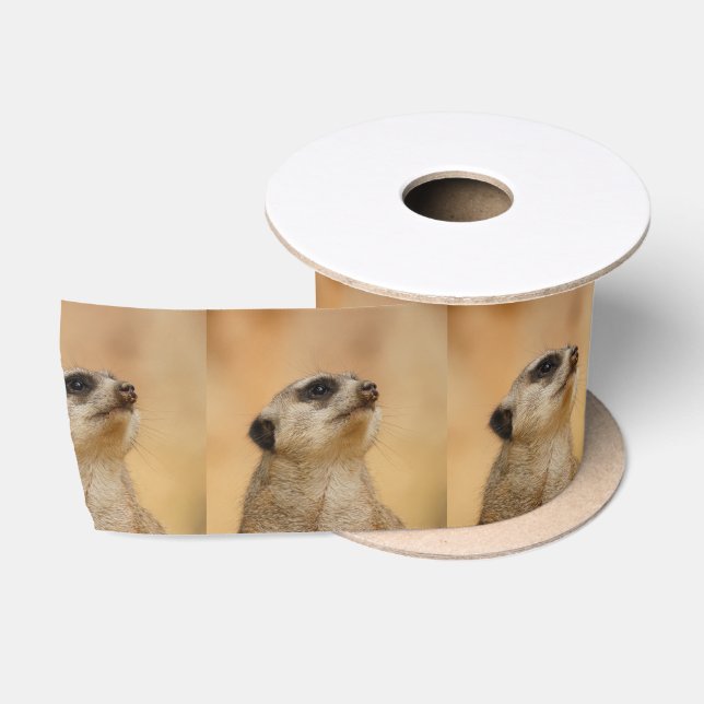 Meerkat20151002 Satin Ribbon (Spool)