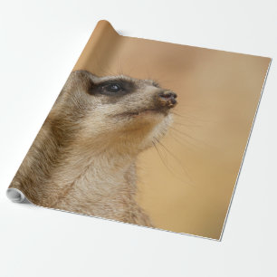Meerkat20151002 Wrapping Paper