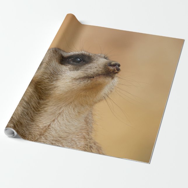 Meerkat20151002 Wrapping Paper (Unrolled)
