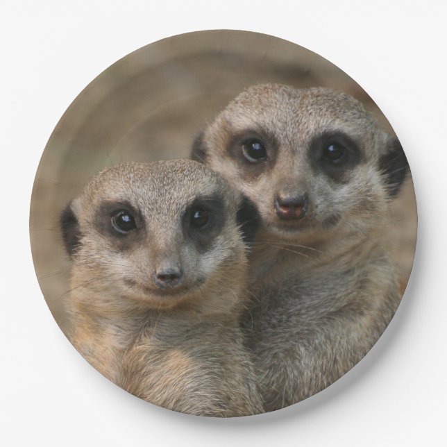 Meerkat20151015 Paper Plate (Front)