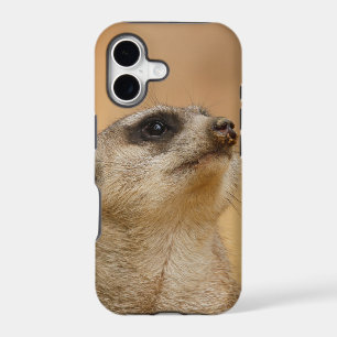 Meerkat_001_by_JAMFoto