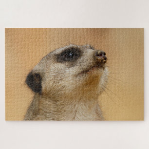 Meerkat_001_by_JAMFoto Jigsaw Puzzle