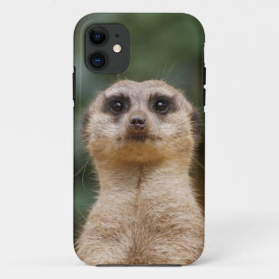 Meerkat 001 iPhone 11 case