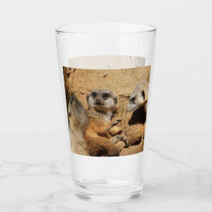 Meerkat 002 glass