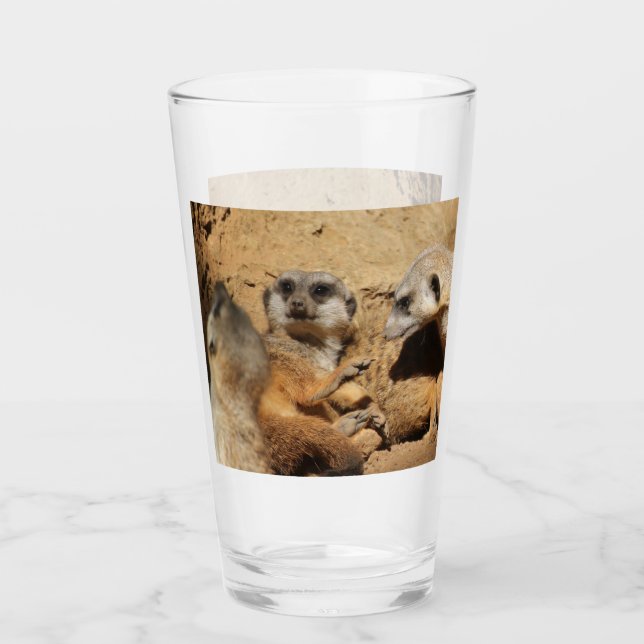 Meerkat 002 glass (Front)
