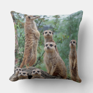 Meerkat_003 Cushion