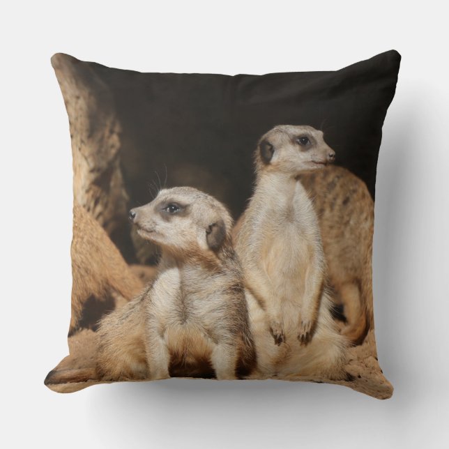 Meerkat 003 cushion (Front)