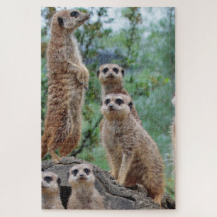 Meerkat_003 Jigsaw Puzzle