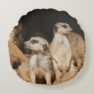 Meerkat 003 round cushion
