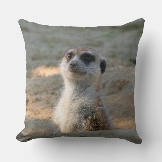 Meerkat 004 cushion (Front)