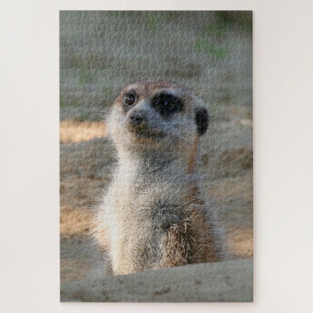 Meerkat 004 jigsaw puzzle (Vertical)