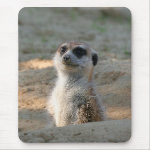 Meerkat 004 mouse pad