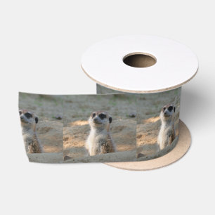 Meerkat 004 satin ribbon