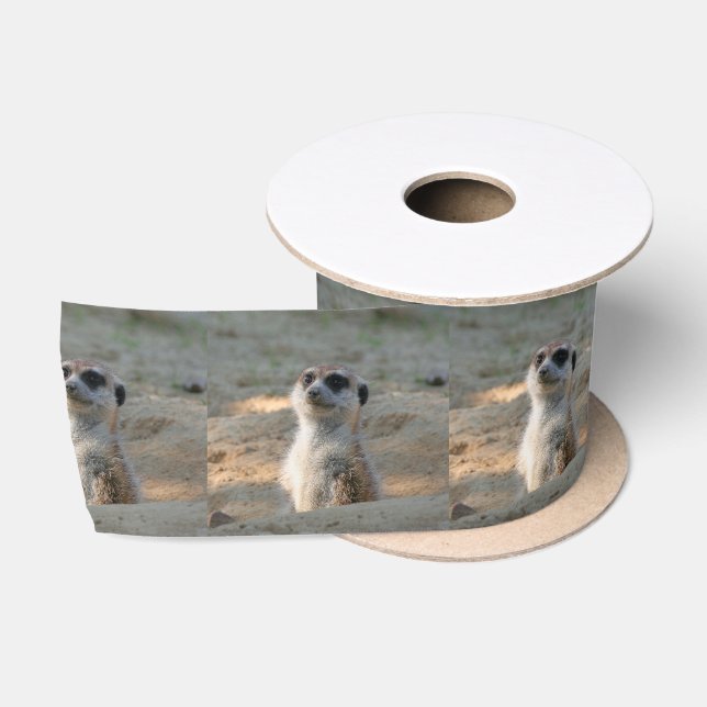 Meerkat 004 satin ribbon (Spool)