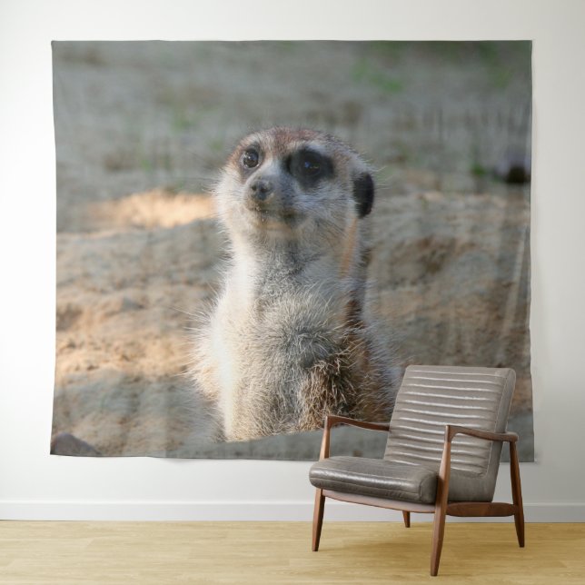 Meerkat 004 tapestry (In Situ (Horizontal))