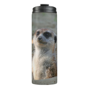 Meerkat 004 thermal tumbler