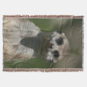 Meerkat 004 throw blanket