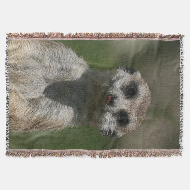 Meerkat 004 throw blanket (Front)