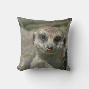 Meerkat 005 cushion