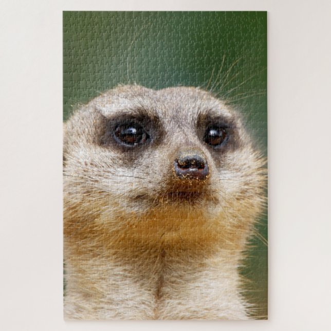 Meerkat 005 jigsaw puzzle (Vertical)