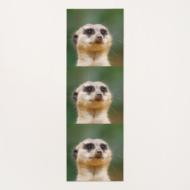 Meerkat 005 yoga mat (Back)