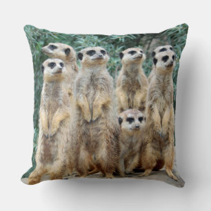 Meerkat 006 cushion