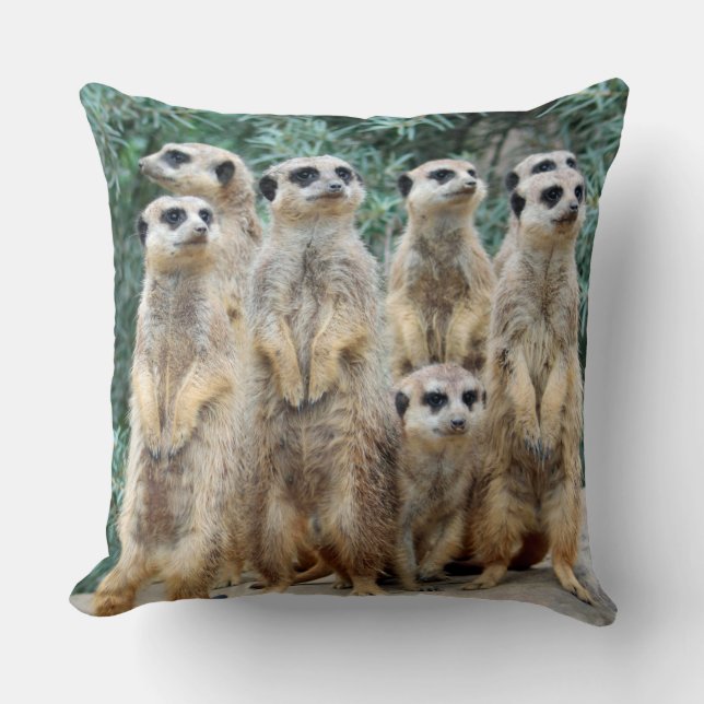 Meerkat 006 cushion (Front)