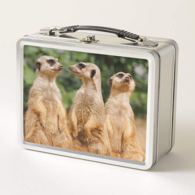 Meerkat 007 metal lunch box (Front)