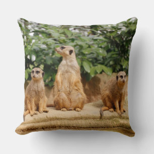 Meerkat 008 cushion